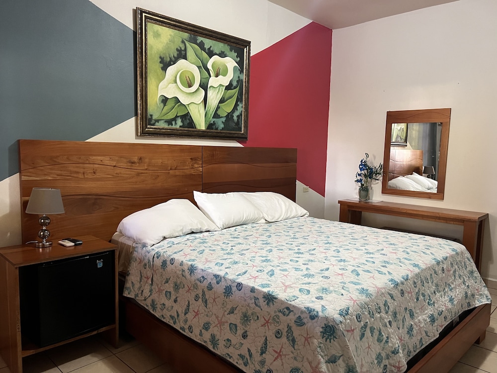 Deluxe Single Room, 1 King Bed photo 1