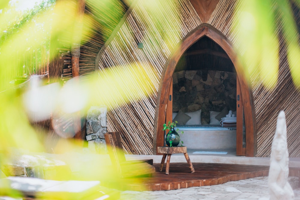 Plunge Pool Mayan Suite - Photo 4