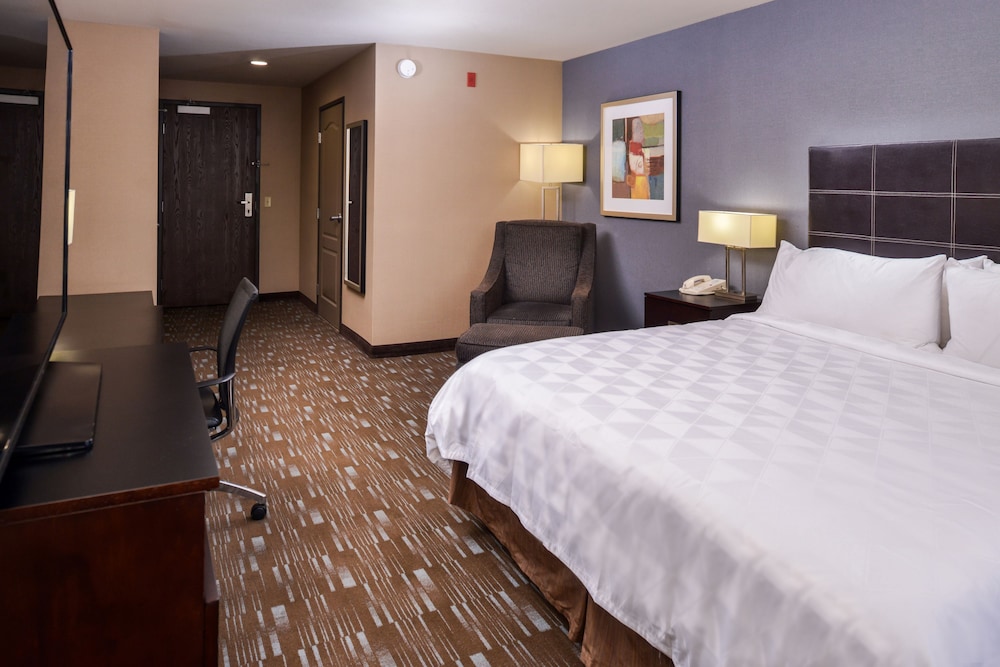 Suite, 1 King Bed, Accessible (Mobility, Roll-In Shower) photo 3