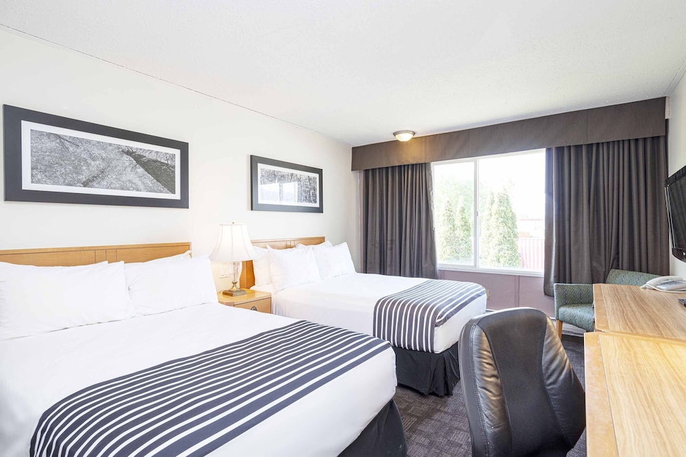 Standard Suite, 2 Double Beds, Kitchenette photo 1