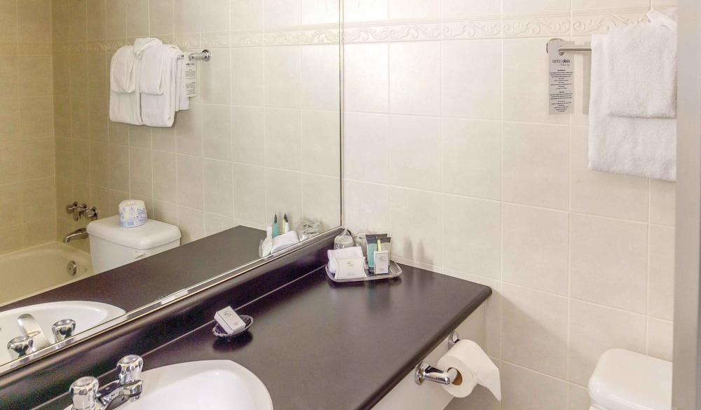 Premium Studio, 2 Double Beds - Photo 8