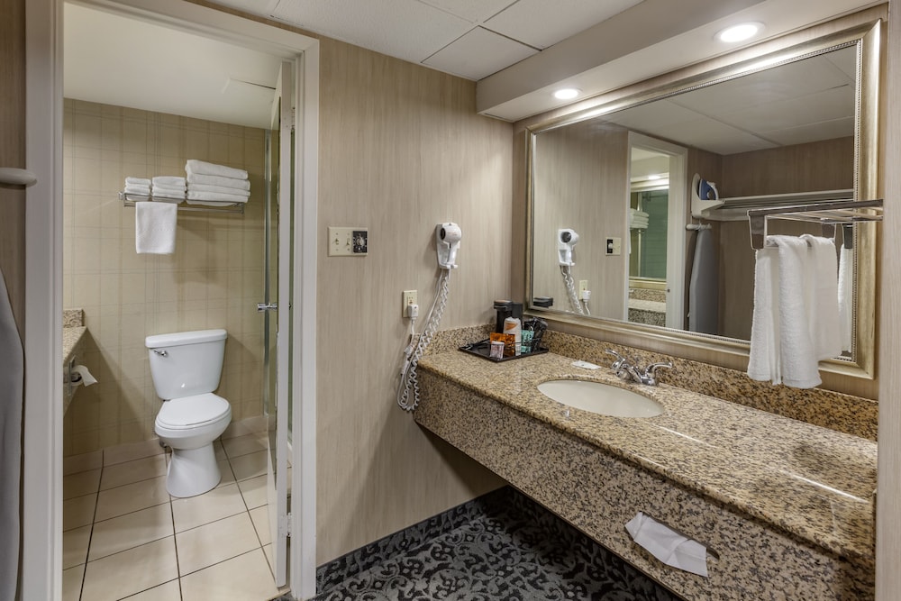 Suite, 1 King Bed, Non Smoking (Upgrade) - Photo 13