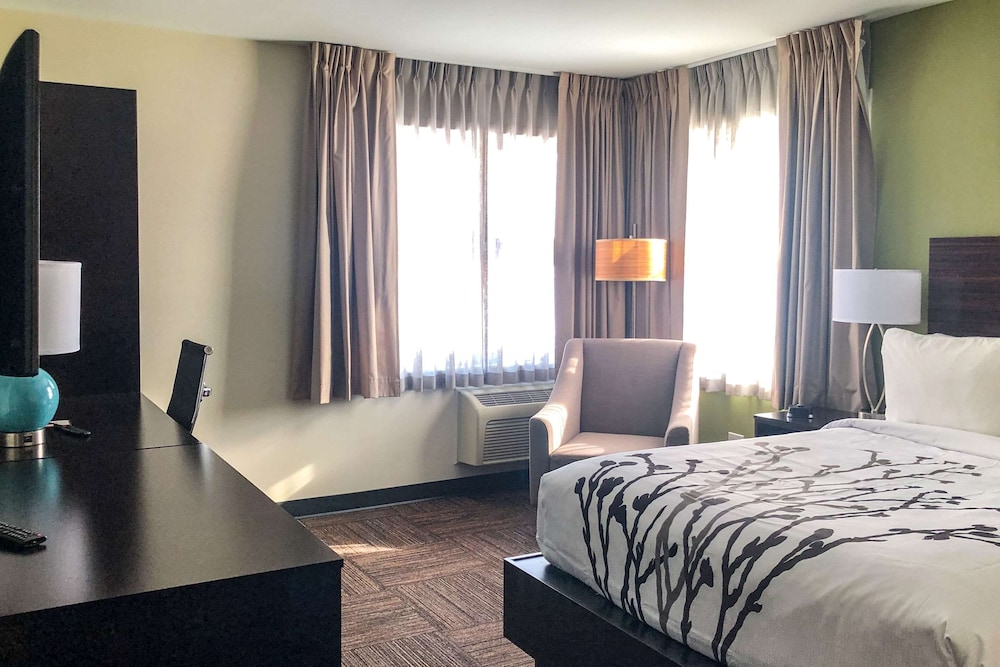 Room, 1 Queen Bed, Non Smoking (Upgrade) - Photo 1