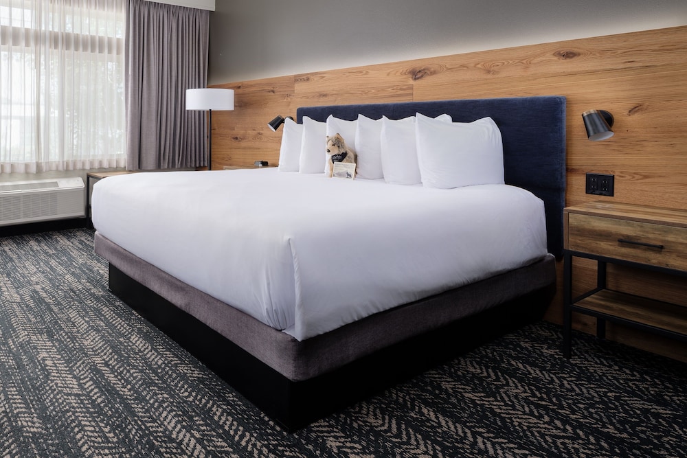 One Bedroom Suite w/King bed + bunk beds - Photo 1