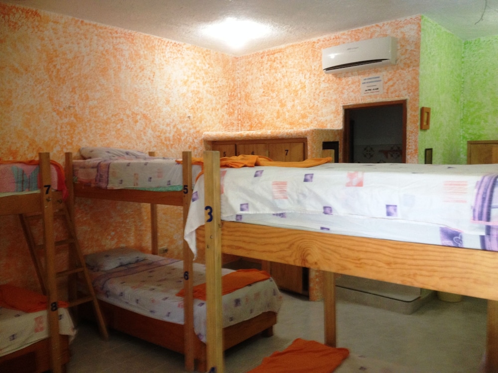 Dortoir Partagé Standard, 1 chambre (Orange with 8 bunk beds)