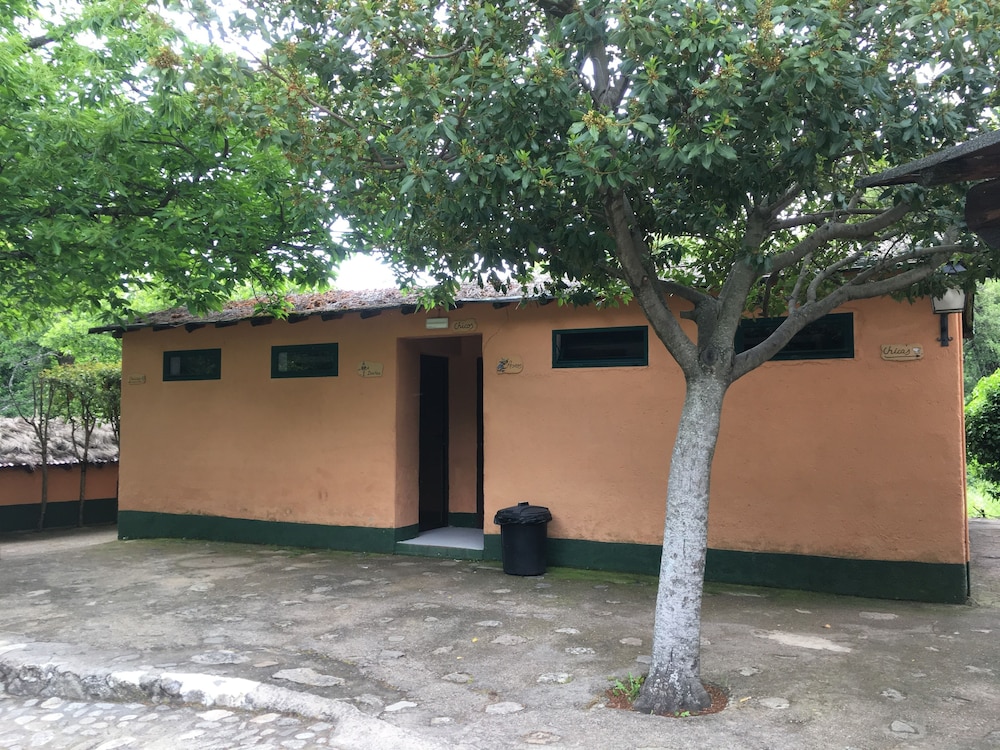 Shared Dormitory, Mixed Dorm (1 Bed In 8 Bed Dorm) photo 2