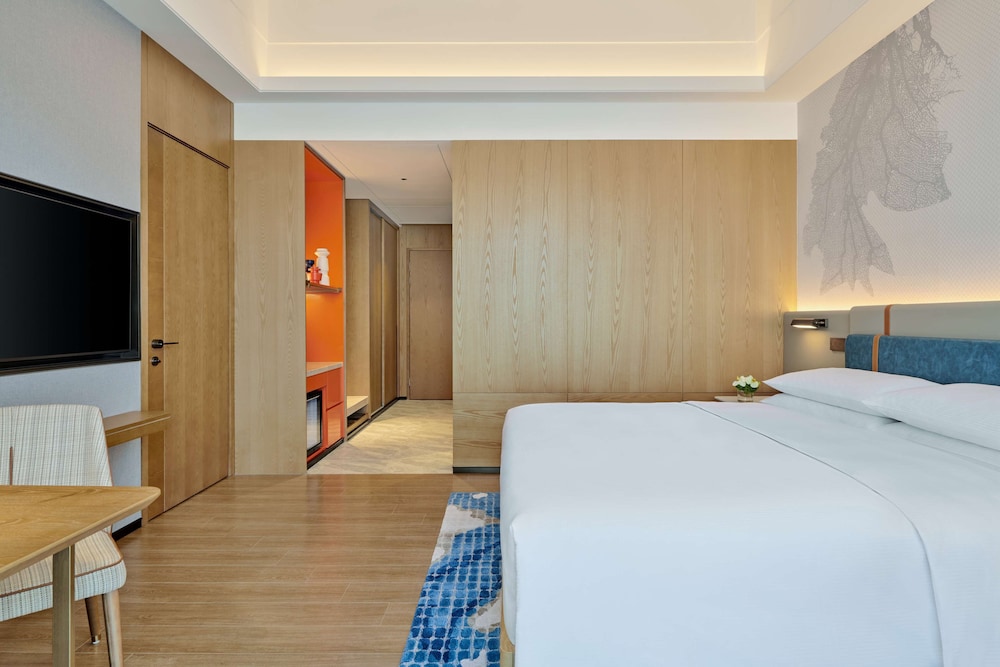 KING ACCESSIBLE ROOM