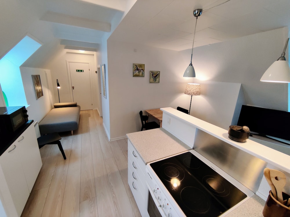 Classic Apartment, 1 Bedroom, Garden View photo 3