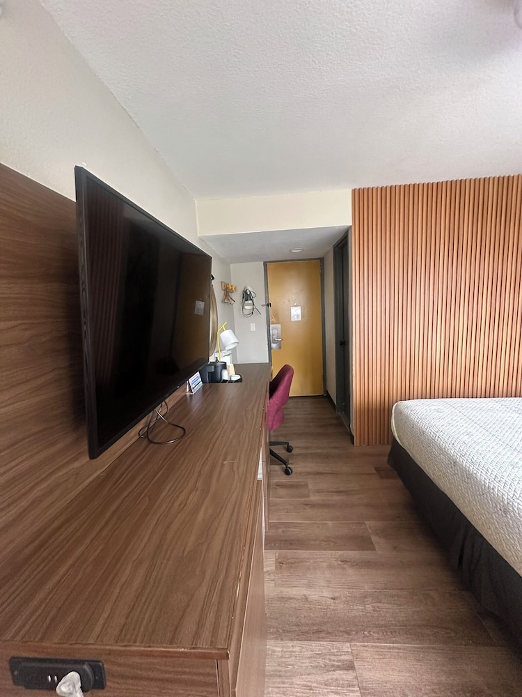 Basic Single Room - Photo 5