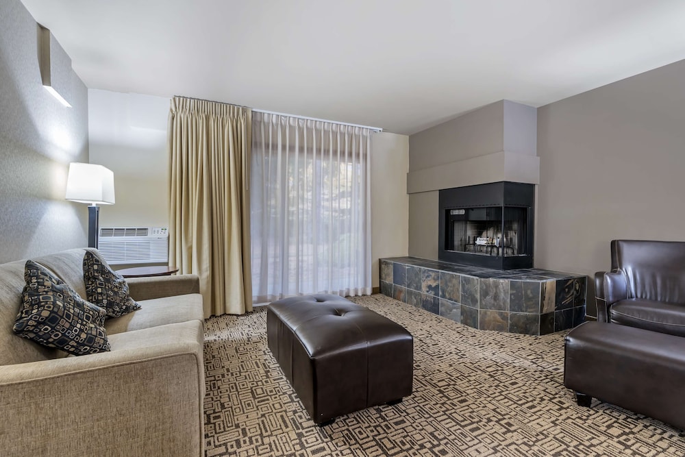 Standard Room, 1 King Bed, Non Smoking, Fireplace (with Sofabed) - Photo 5