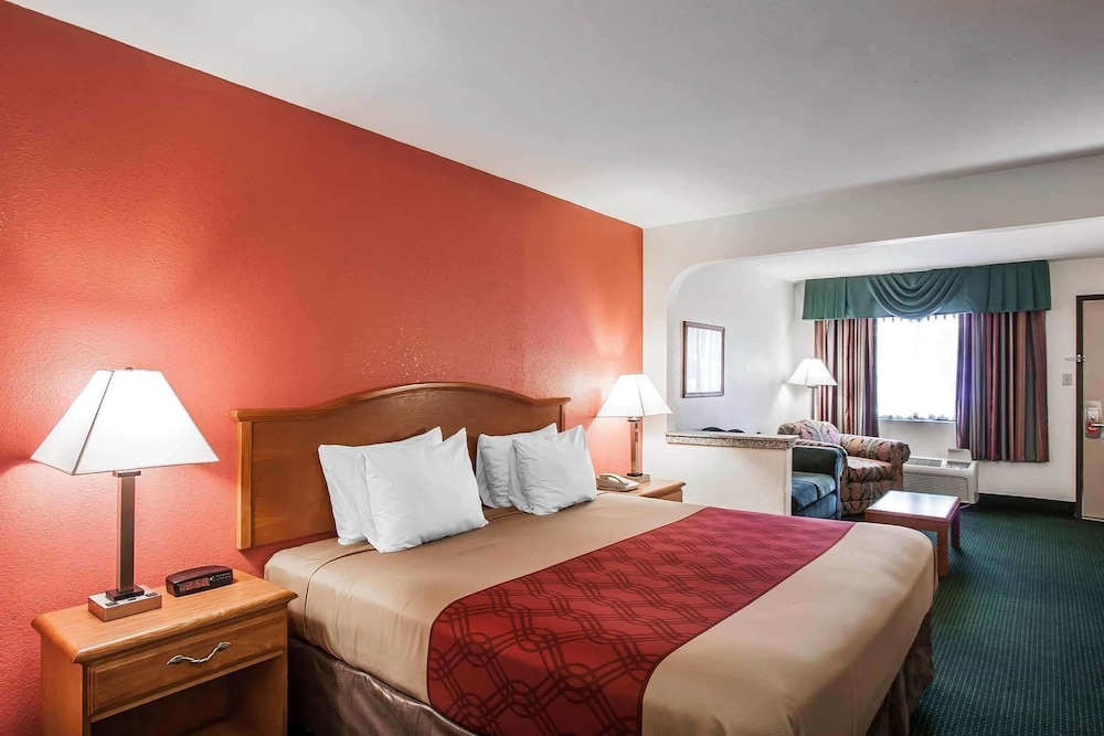 Suite, 1 King Bed, Non Smoking photo 1