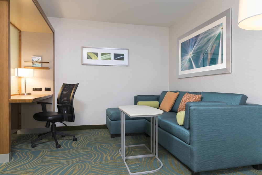 Suite, 1 King Bed with Sofa bed (Mobility Accessible, Tub) photo 3