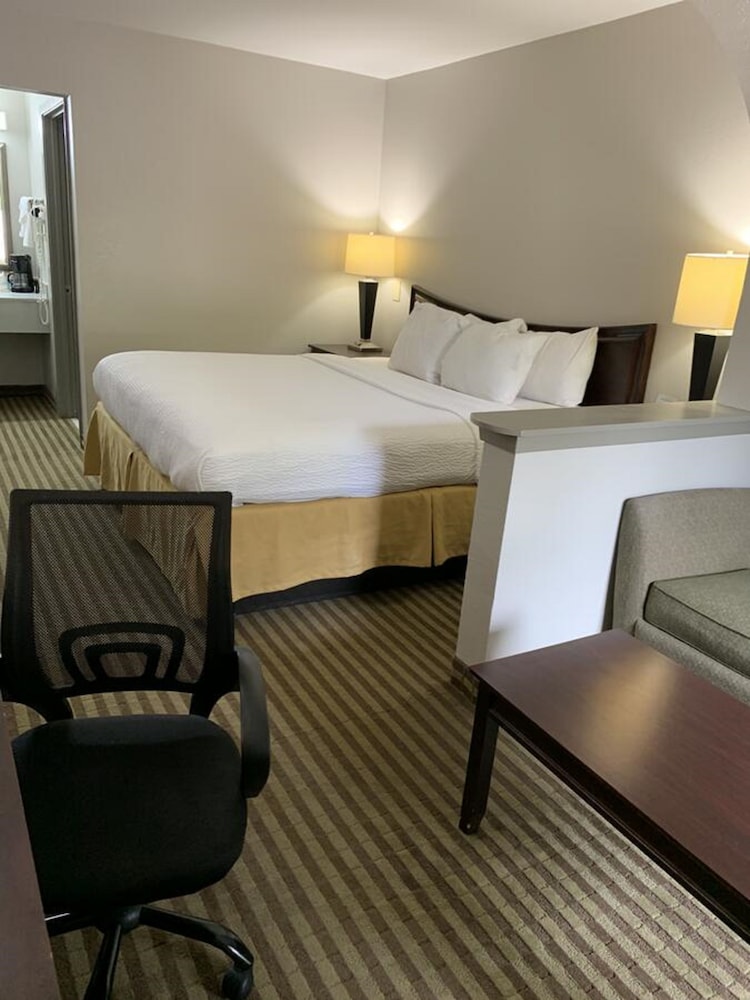 Suite, 1 King Bed with Sofa bed photo 2