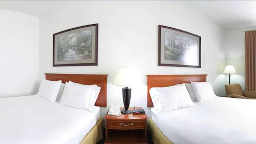 Suite, 1 King Bed, Roll-in Shower (Communications, Roll-In Shower) - Photo 3