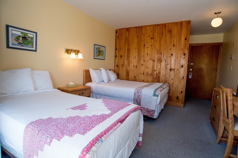 Standard Room, Multiple Beds photo 1