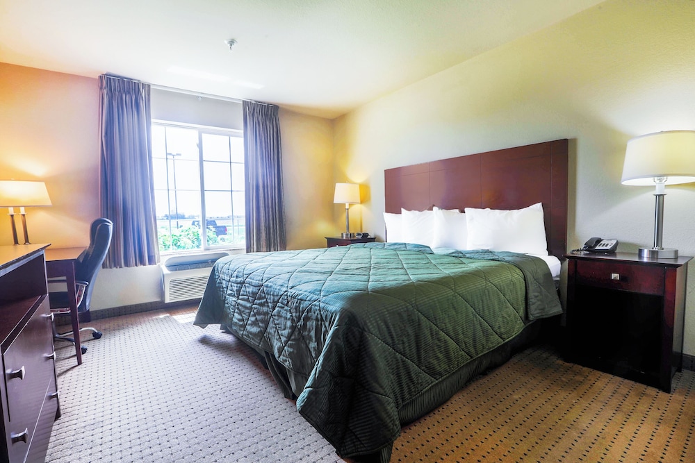 Room, 1 King Bed photo 1