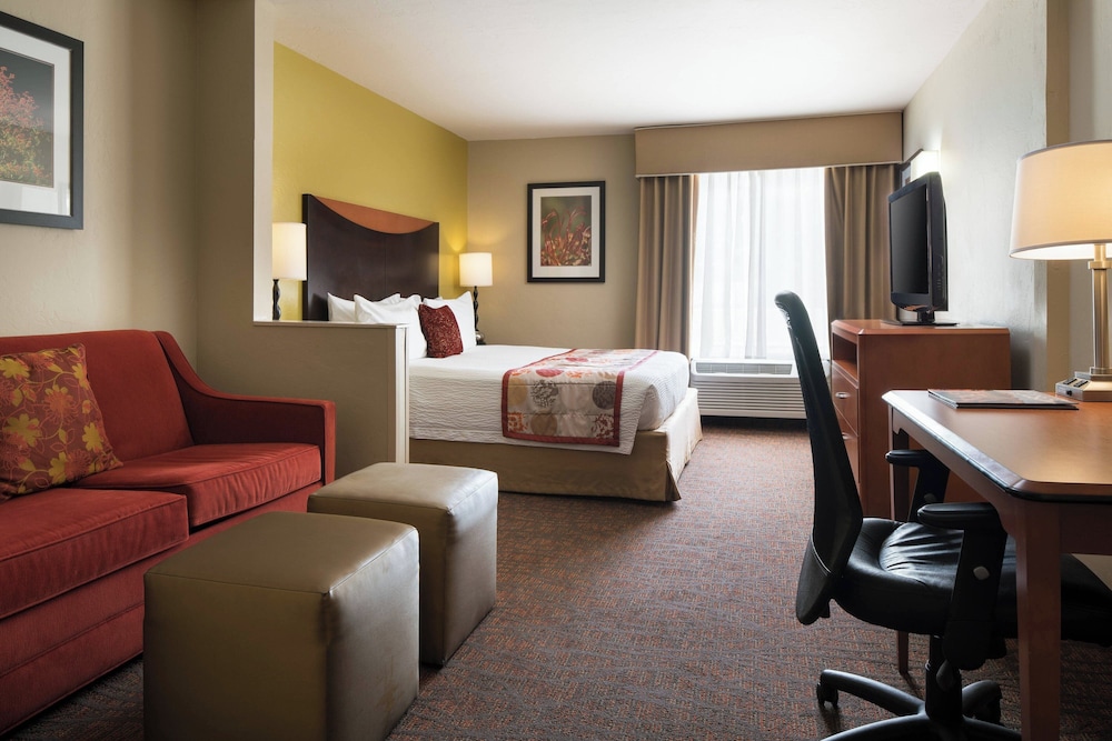 Room, 1 King Bed with Sofa bed