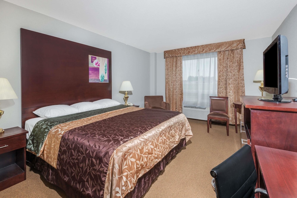 Standard Room, 1 King Bed - Photo 2