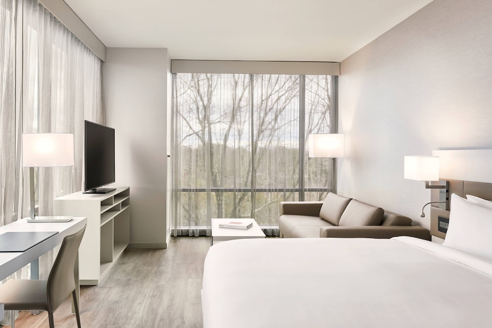 Suite, 1 Bedroom - Photo 4