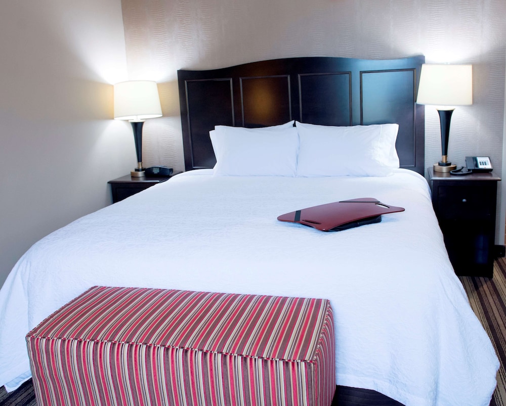 Room, 1 King Bed, Accessible photo 1