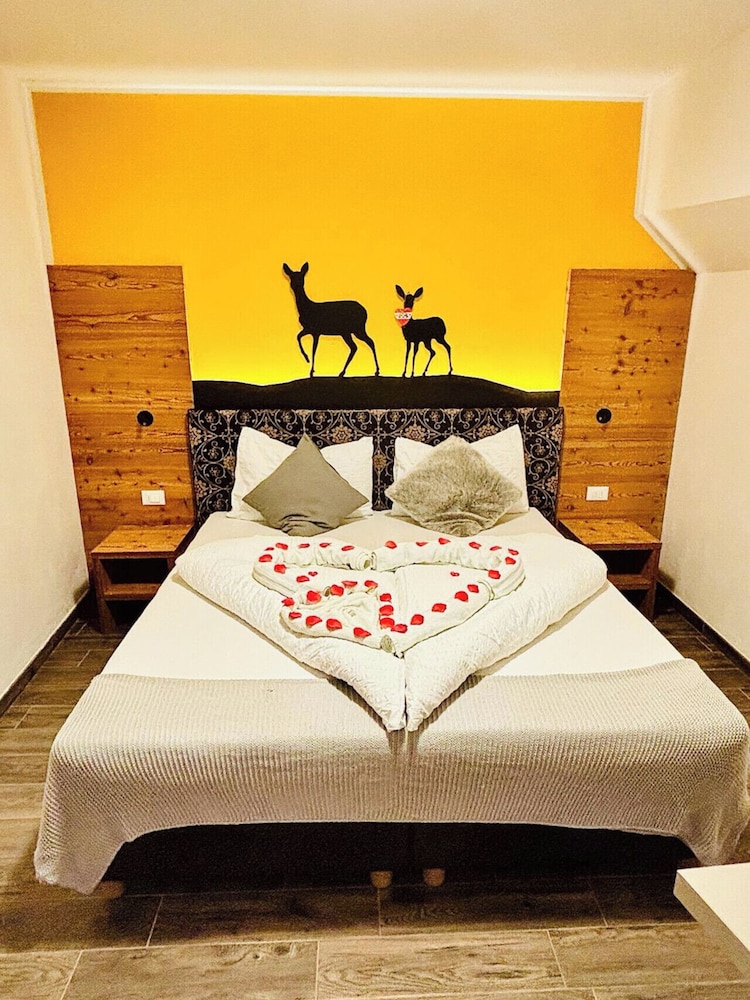 Basic Room, Mountain View