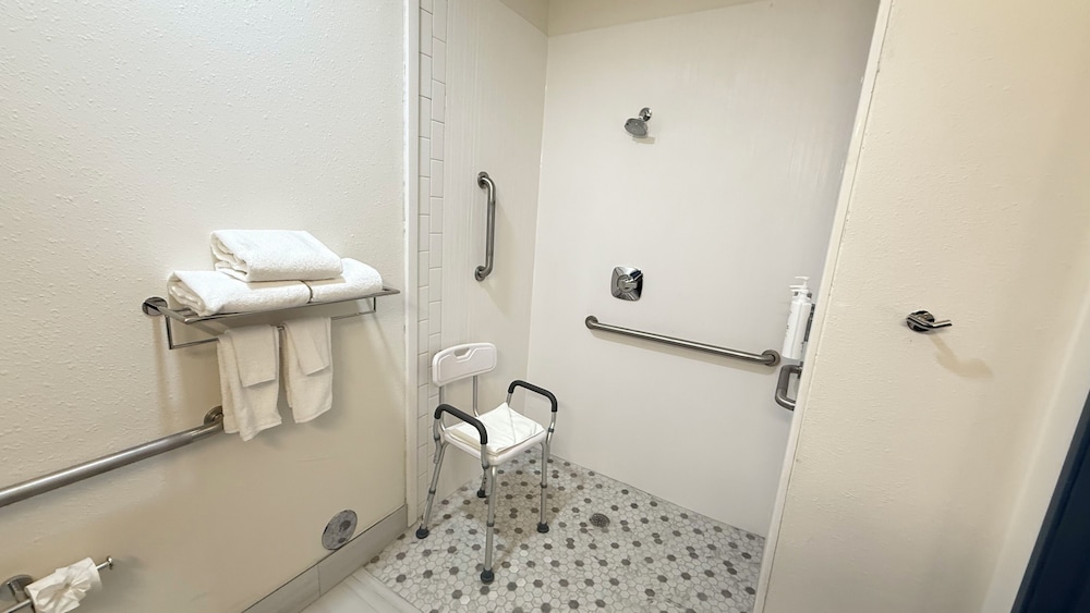 Room, 1 King Bed, Accessible (Mobility & Hearing, Roll-in Shower) - Photo 3