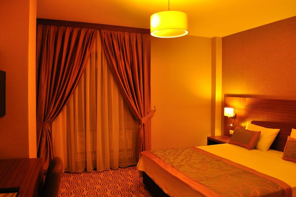 Executive Room photo 1