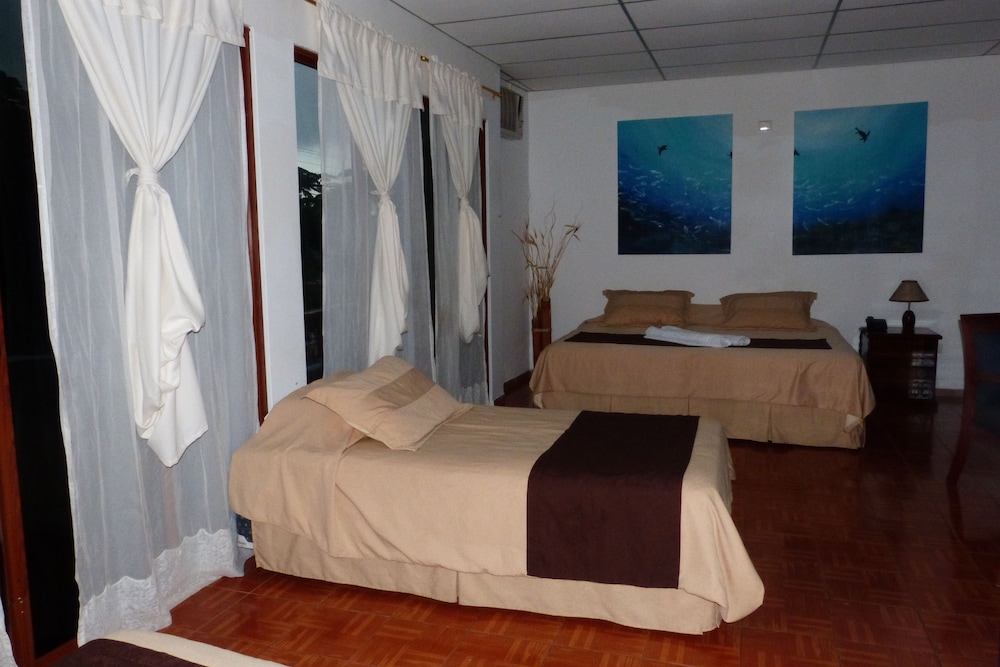 Twin Room photo 2