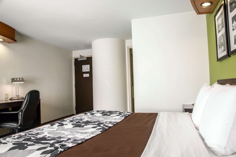 Standard Double Room, 2 Double Beds, Non Smoking photo 2