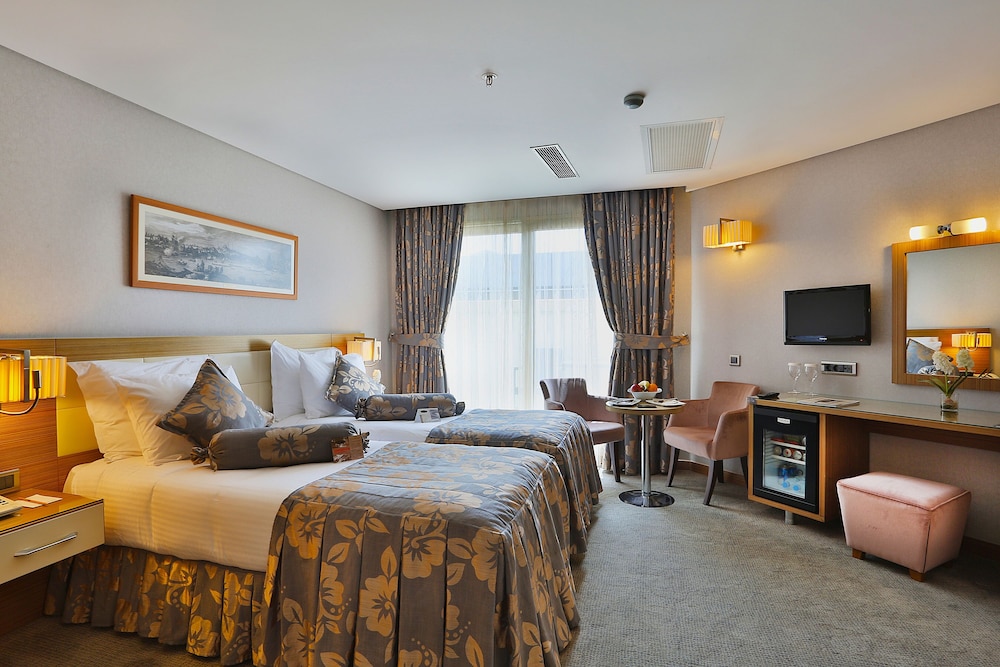 Deluxe Double or Twin Room photo 1