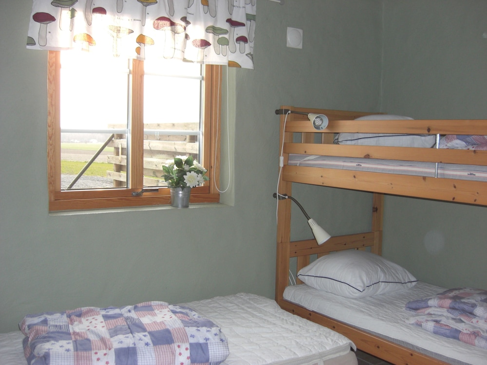 Apartment (5 guests) photo 1