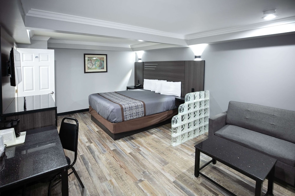 Basic Suite, 1 King Bed