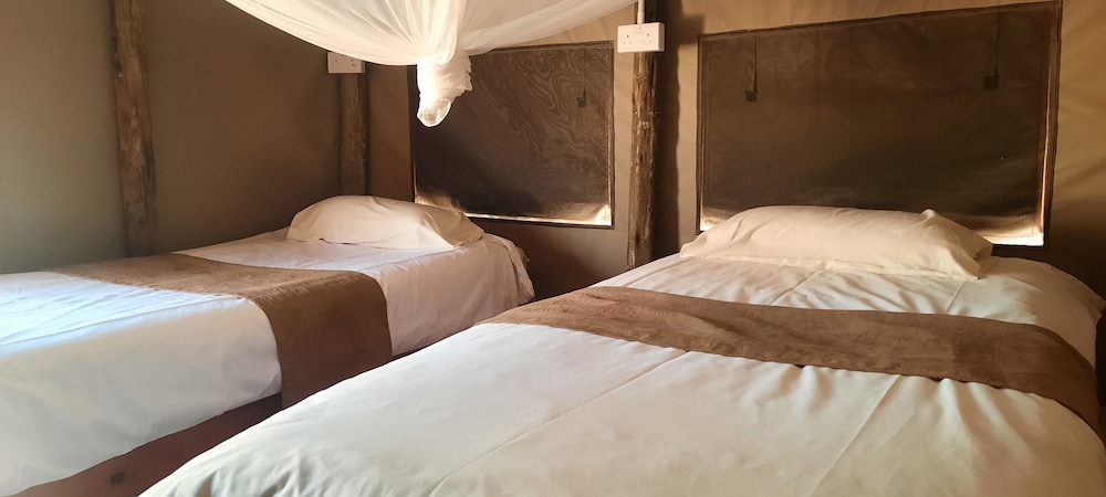 Luxury Tent, Courtyard View photo 1