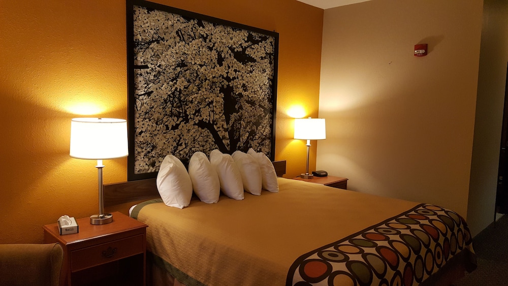 Standard Room, 1 King Bed, Accessible - Photo 2