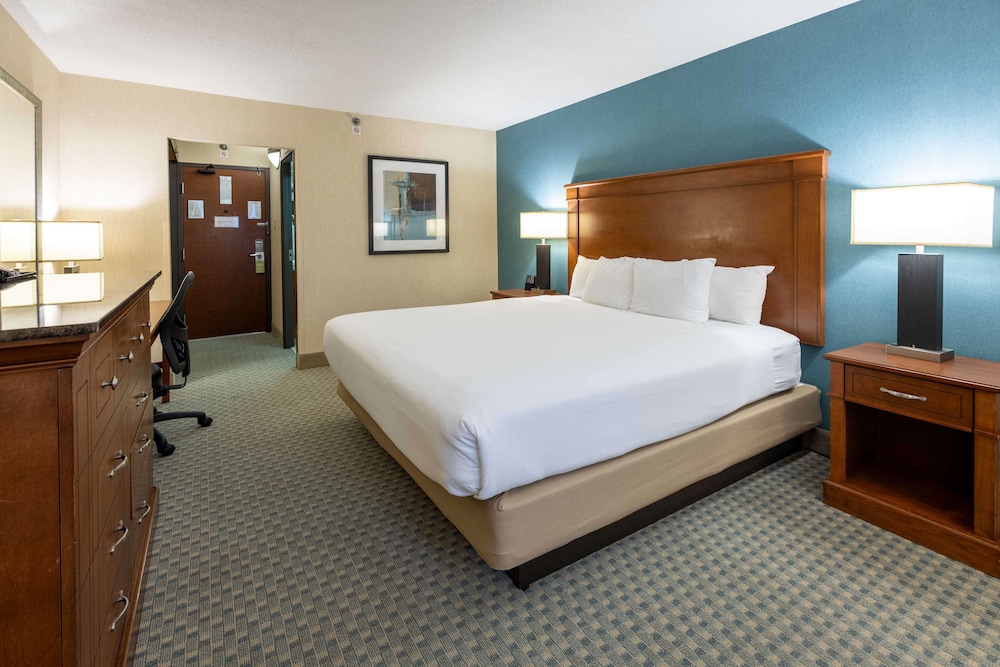 Deluxe Room, 1 King Bed with Sofa bed, Refrigerator & Microwave photo 1