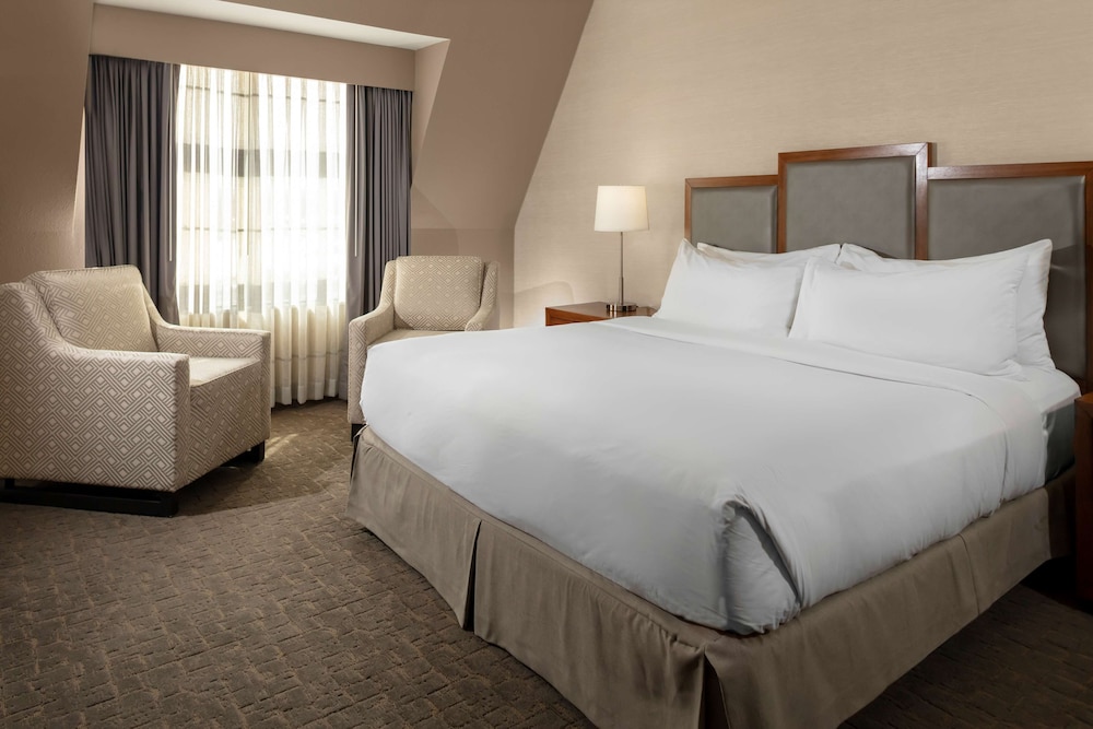 Suite, 1 Bedroom, Mountain View - Photo 3