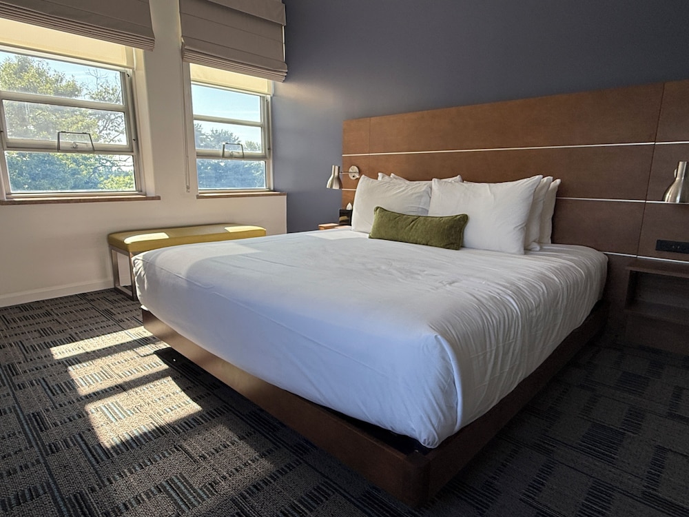 Suite, 1 Queen Bed