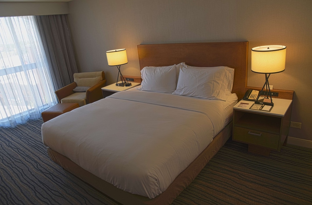 Room, 1 King Bed, Accessible, Bathtub - Photo 3