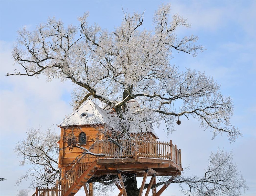 Panoramic Tree House (Tree House)
