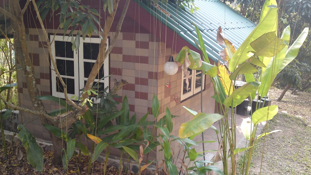 Standard Bungalow photo 3