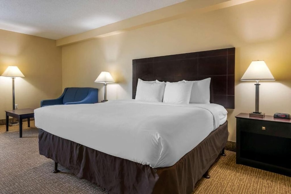 Standard Room, 1 King Bed with Sofa bed