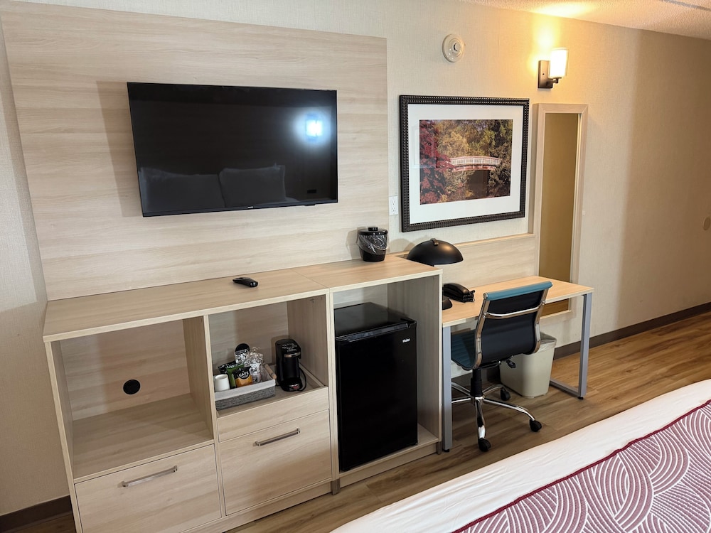 Deluxe Double Room, Multiple Beds photo 1