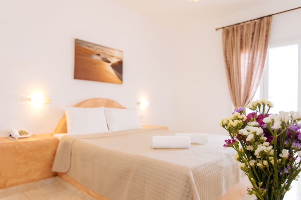 Suite - Photo 1
