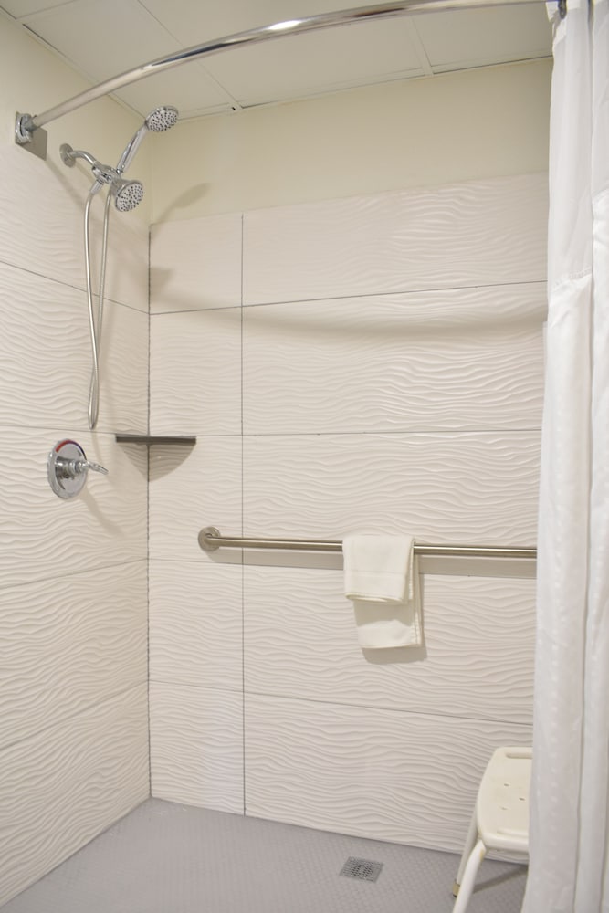 Room, 1 King Bed, Accessible, Non Smoking (Roll-in Shower) - Photo 11