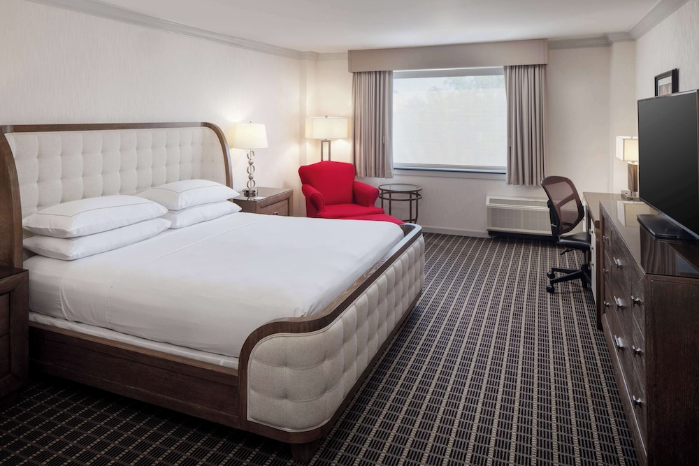 Suite, 1 King Bed photo 3
