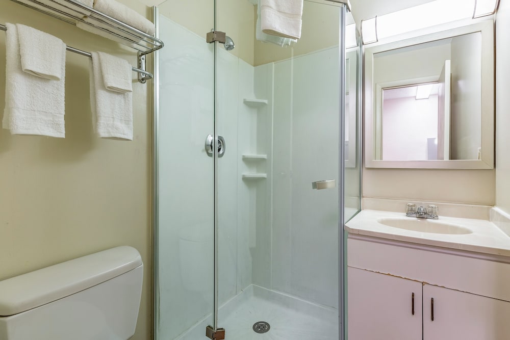 Studio, Multiple Beds, Non Smoking (1 King and 2 Double Beds) - Photo 6