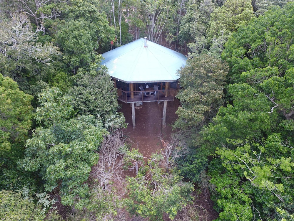 2 Nights Canopy Tree House
