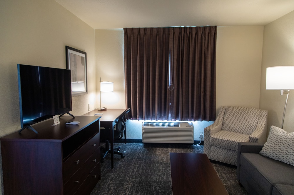Suite, 1 King Bed with Sofa bed, Accessible, Non Smoking (Audible/Visual Alert) - Photo 6