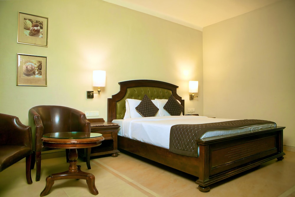 Deluxe Room - Photo 9