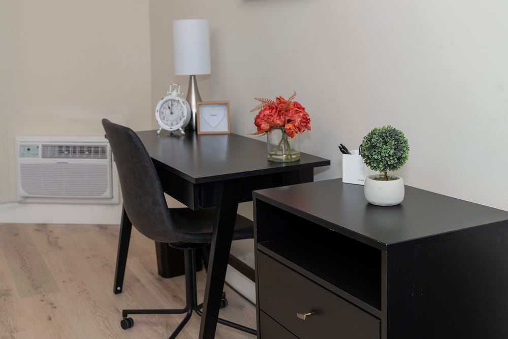 Spacious Studio Apt near Botanical Gardens, Foto 11